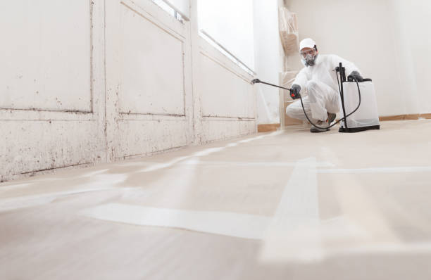 24/7 Emergency Bathroom Mold Removal experts in Poulsbo, WA